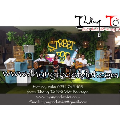 cho thuê cỏ nhân tạo 12